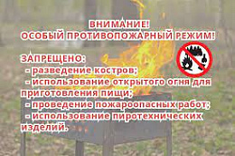 В ОКТЯБРЬСКОМ РАЙОНЕ ВВЕДЕН ОСОБЫЙ ПРОТИВОПОЖАРНЫЙ РЕЖИМ! 